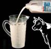 (image for) Milk Pitcher - Crystal Cut