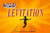 (image for) Wild Levitation