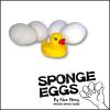 Sponge Eggs