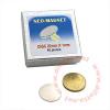 (image for) Magnet - Disc - 22mm x 1mm